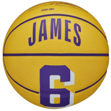 Wilson Basketball ball NBA Player Icon LeBron James Mini Ball WZ4007201XB