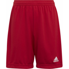 Adidas ENTRADA 22 Short Y H57501 / sarkans / 128 cm