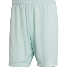 Adidas ENTRADA 22 Short HC5051 / zaļa / L