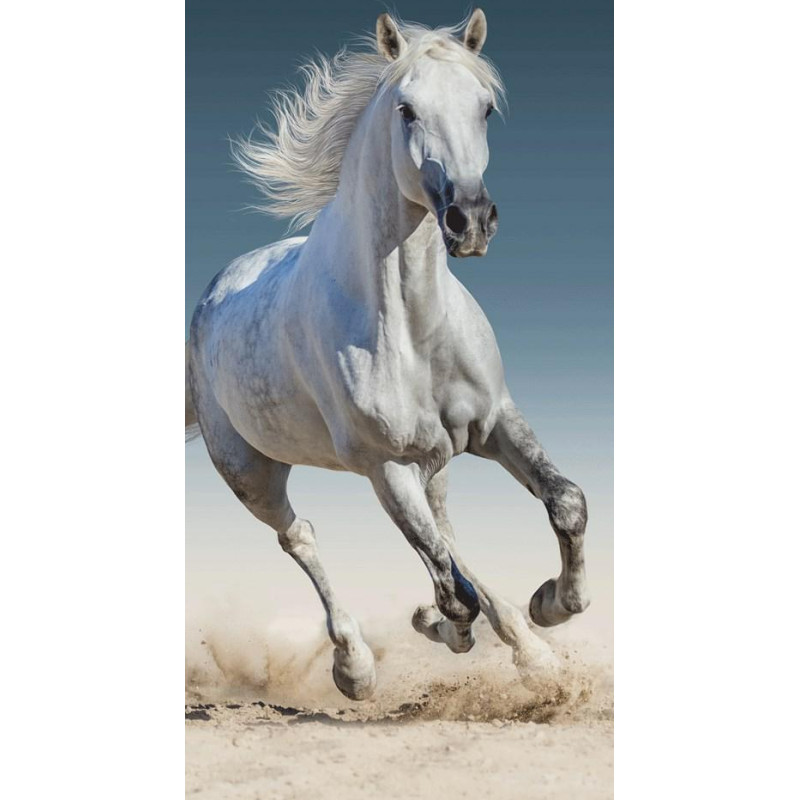 Pludmales dvielis 70x140 Horse 0401 balts kokvilnas galopā