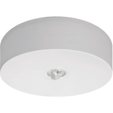 Awex Oprawa awaryjna AXN IP65 ECO LED 1W 125lm 1h jednozadaniowa AT biała (AXNO/1W/ESE/AT/WH)