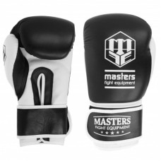 Masters Boxing gloves RPU-TR 011112-12