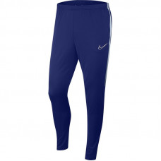 Nike Dri-FIT Academy Pant M AJ9729 455