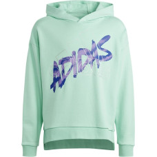 Adidas Džemperis D Hoody Jr. HR5825 / zaļš / 176 cm