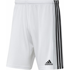 Adidas SQUADRA 21 Šorti GN5773 / balti / L