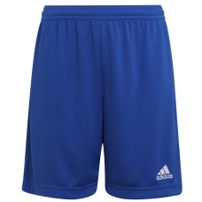 Adidas ENTRADA 22 Īsi Y šorti HG6291 / zils / 152 cm