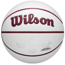 Wilson NBA Team City Collector Chicago Bulls Ball WZ4016405ID basketball