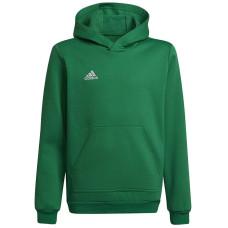 Adidas ENTRADA 22 Hoody Y džemperis HI2143 / zaļš / 176 cm