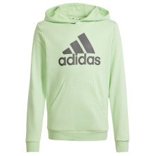 Adidas Big Logo Hoodie meiteņu sporta krekls IS2591 / zaļš / 152 cm