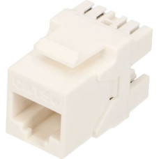 Extralink CAT5E UTP | Keystone | RJ45