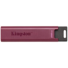 Zibatmiņa Kingston DataTraveler Max 256GB