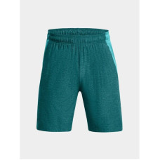 Under Armour Under Armor M shorts 1376955-464