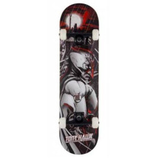 Tony Hawk 540 Complete Industrial TSS-COM-0600 skateboard