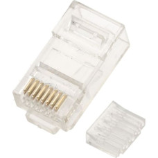 Extralink CAT6 UTP RJ45 | RJ45 savienotājs | 8P8C