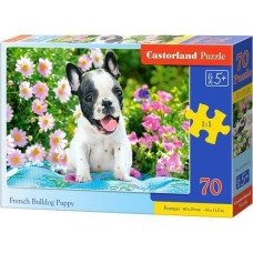 Castorland Puzzle 70 French bulldog puppy CASTOR