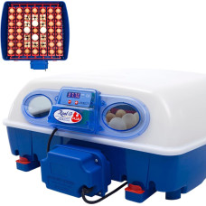 Borotto Automātisks inkubators 49 olām ar BIOMASTER 150 W aizsardzību