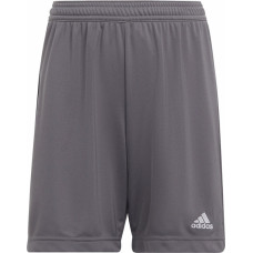 Adidas ENTRADA 22 Short Y H57507 / pelēks / 116 cm