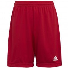 Adidas ENTRADA 22 Short Y H57501 šorti / sarkani / 176 cm