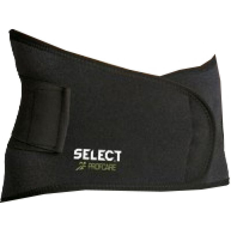 Select Lumbar support with 6411 brace