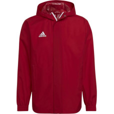 Adidas Jaka ENTRADA 22 AW Jaka HG6299 / sarkana / XXXL