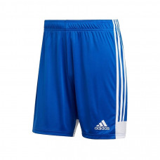 Adidas Tastigo šorti 19 DP3682 / zils / XL