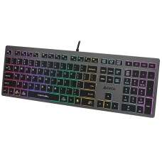 A4 Tech A4Tech FSTYLER FX60H (Neon Backlit) keyboard USB QWERTY Black, Grey