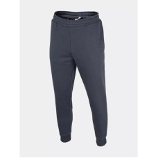 Outhorn Trousers M OTHAW22TTROM024-31S