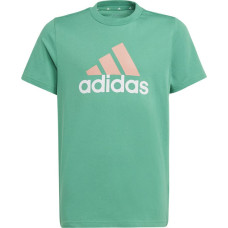 Adidas T-krekls Big Logo 2 Tee Jr. IB8776 / zaļš / 152 cm