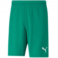 Puma teamRISE Short M 704942 05