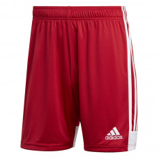 Adidas Tastigo 19 šorti DP3681 / sarkani / XL