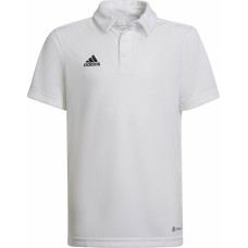 Adidas T-krekls ENTRADA 22 Polo Y HC5059 / balts / 140 cm