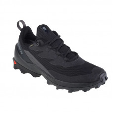 Salomon Cross Over 2 GTX M 472690 shoes