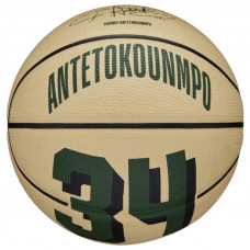 Wilson Basketball ball NBA Player Icon Giannis Antetokounmpo Mini Ball WZ4007501XB