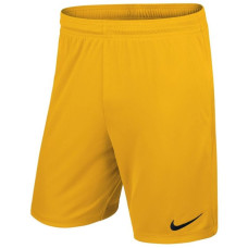 Nike Park II Junior 725988-739 Football Shorts