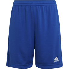 Adidas ENTRADA 22 Short Y HG6291 / zils / 116 cm