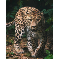 Mikroflaneļa sega 120x150 Leopard Leopard Panther Lapas Bērnu pleds 4942