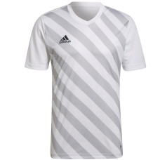 Adidas T-krekls ENTRADA 22 GFX JSY HF0129 / balts / XXXL