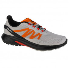 Salomon Hypulse M 415949 running shoes