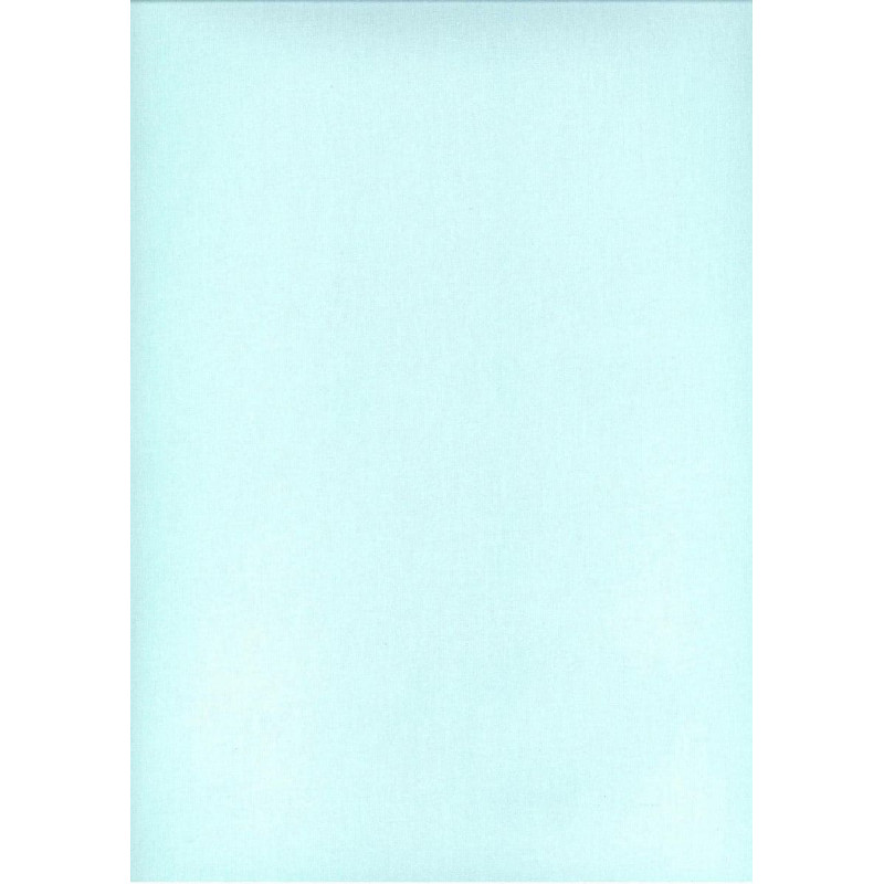 Kokvilnas palags 200x220 mint gaišs 16 vienkrāsains