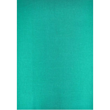 Flaneļa palags 180x200 zaļš 022 vienkrāsains