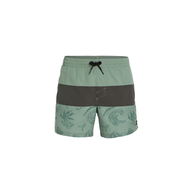 Oneill O'Neill Mix&Match Cali Block swim shorts 15'' M 92800613820