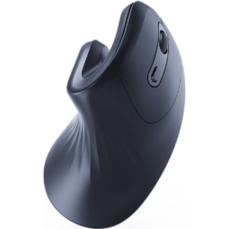 Datorpele Gembird Ergonomic 6-button Wireless Optical Mouse Black