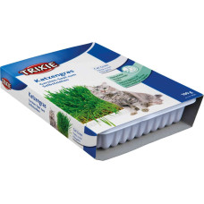 Trixie Zāle kaķiem : Trixie Cat Grass (bowl), 100 g
