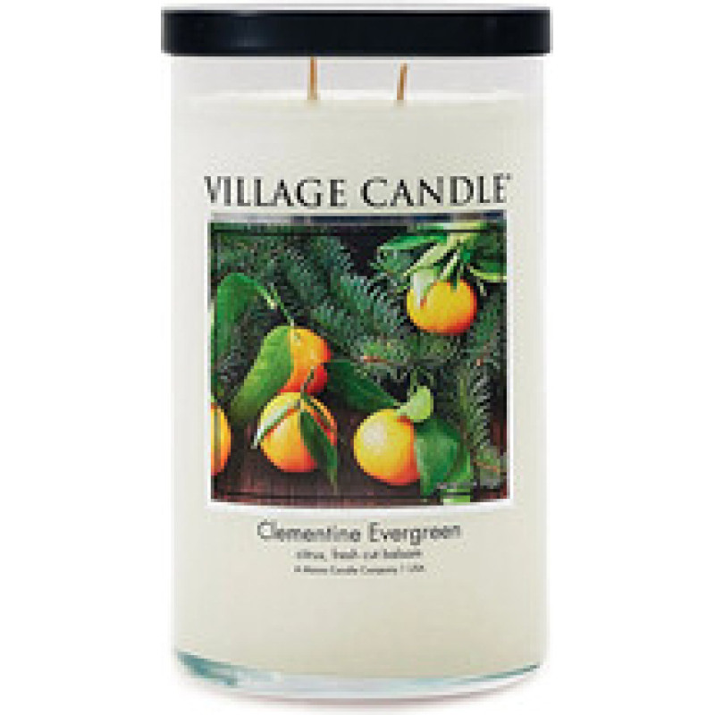 Village Candle Clementine Evergreen Tumbler Candle (Tangerine and Needle)