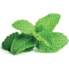 Click & Grow Click and Grow Smart Garden Refill 3-pack - Peppermint