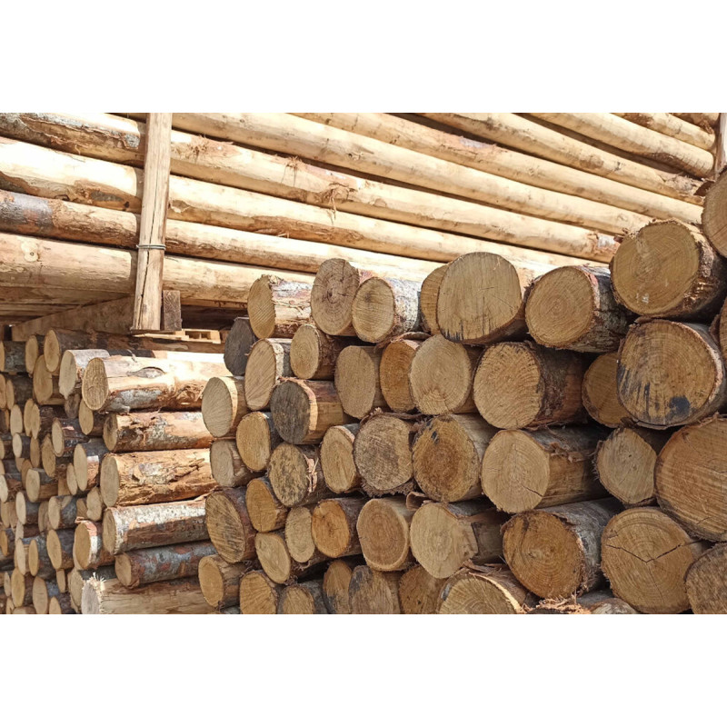 Canvascamp Koka stieņu komplekts 7,5 x 7,5