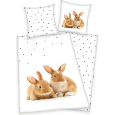 Kokvilnas gultas veļa 140x200 Rabbits balti bēša spilvendrāna 70x90 H23