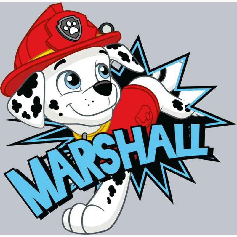Burvju dvielis 30x30 cm Paw Patrol Marshall pelēks Magic