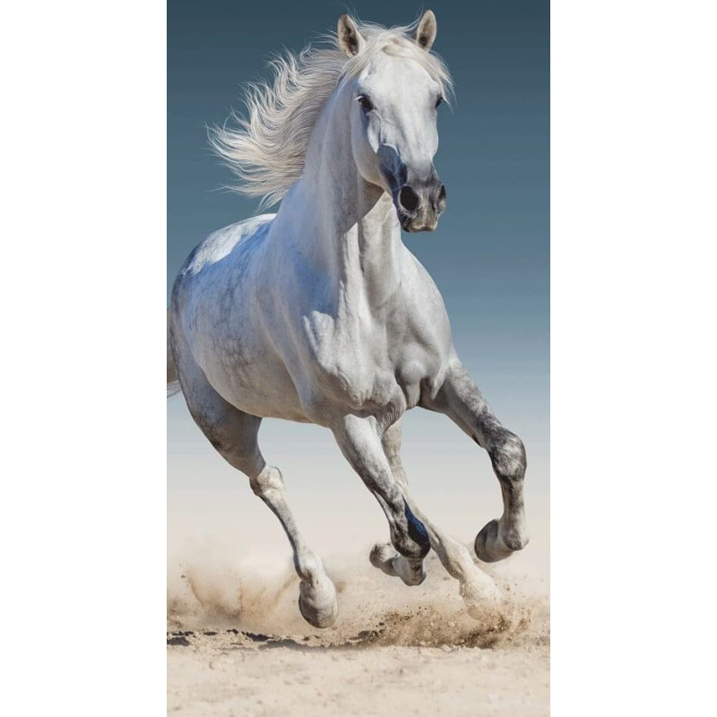 Pludmales dvielis 70x140 Balts zirgs 3373 galloping Cotton horse