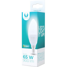 Forever Light LED bulb E14 C37 10W 230V 3000K 900lm ceramic Forever Light